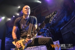 Accept (SP, 11.2017)