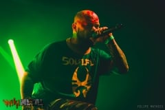 Five Finger Death Punch (RJ, 05.2017)