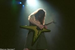 Pantera