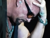 queensryche2