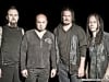 disturbed