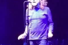 Robert Plant