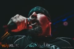 Suicidal Tendencies (RJ, 04.2017)