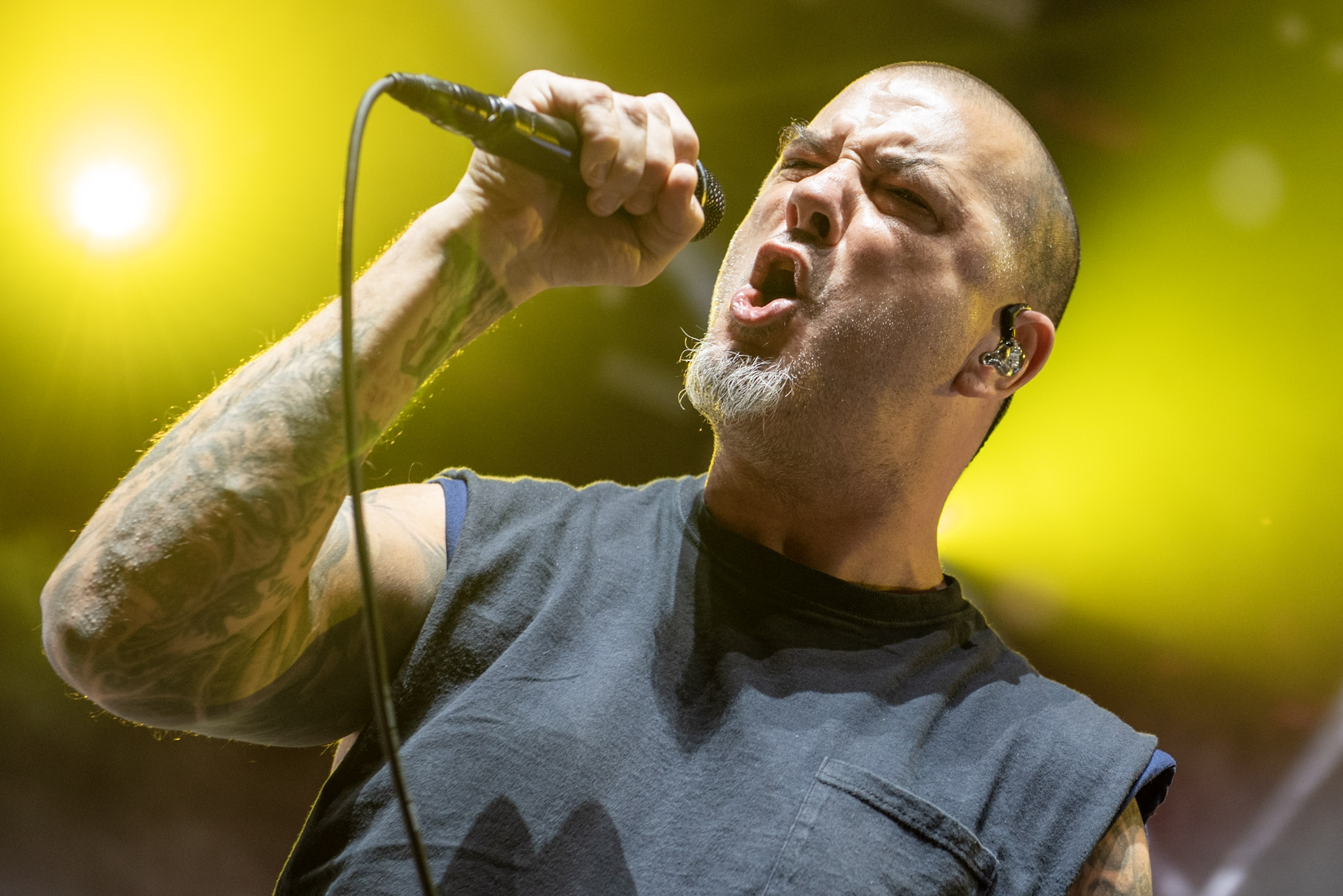 Pantera no Vibra, em São Paulo. Crédito: Leca Suzuki