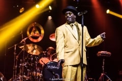living colour @ tropical butanta by leca suzuki 14.06.2019 (24)