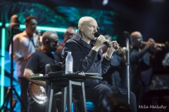 Phil Collins - Foto Mila Maluhy-4683