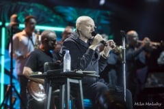 Phil Collins - Foto Mila Maluhy-4683