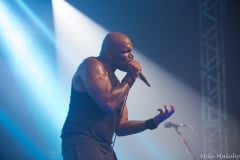 Sepultura (SP 11.2018)