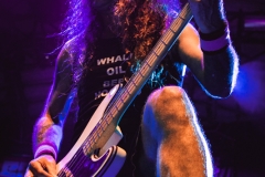 British Lion, Rio de Janeiro, 2018