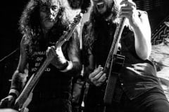 British Lion, Rio de Janeiro, 2018