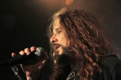 The Dead Daisies