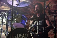 The Dead Daisies