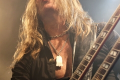 The Dead Daisies