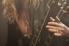 The Dead Daisies