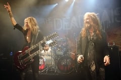 The Dead Daisies